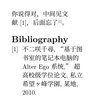 Typst compiled image